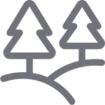 Woods SVG Icon